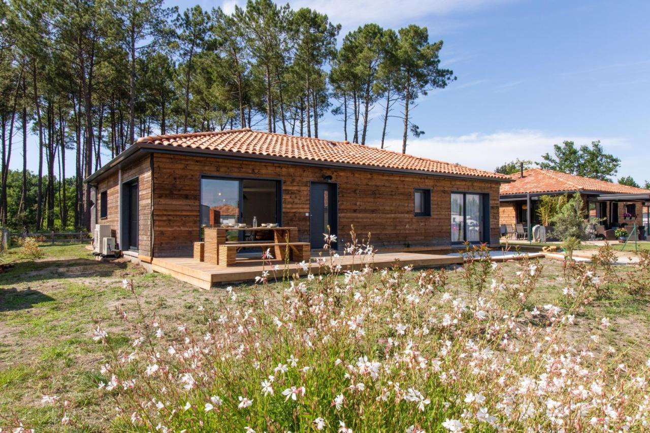 Maison Gemme A Landes Léon Dış mekan fotoğraf